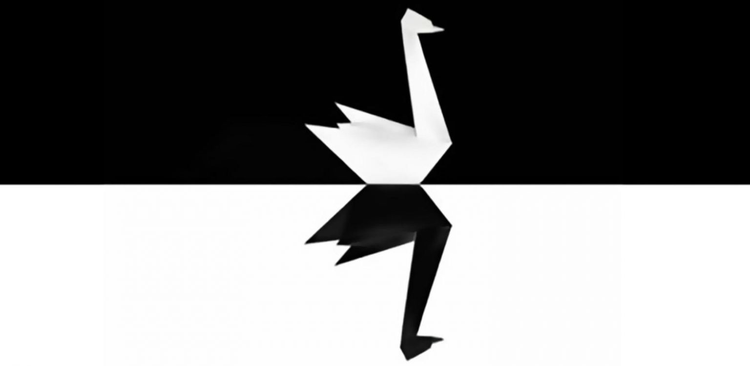 Origami a forma di cigno nero